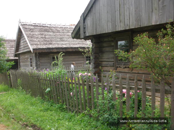 photo 1174015