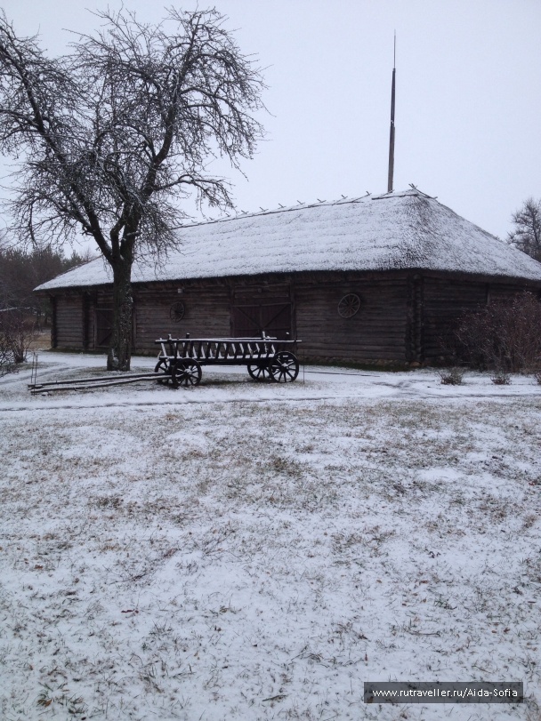 photo 1174823