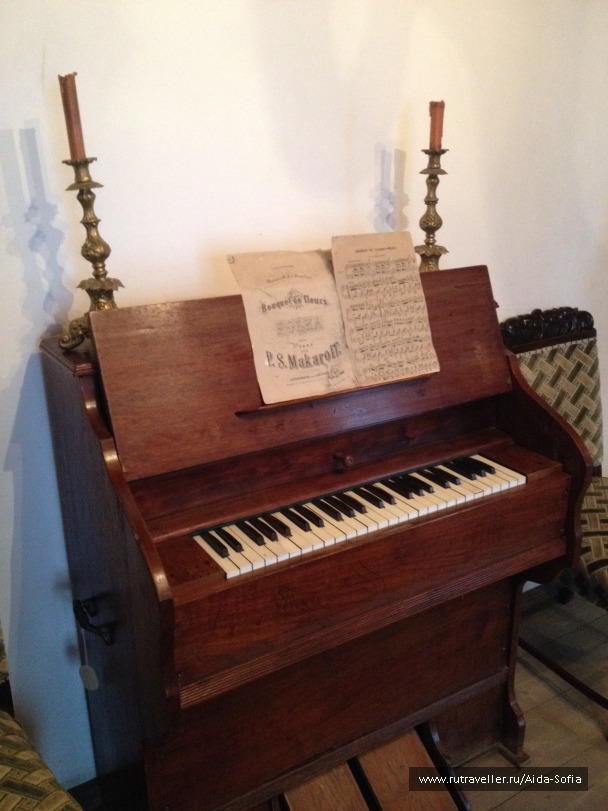 photo 1174834