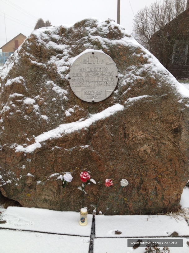 photo 1174826