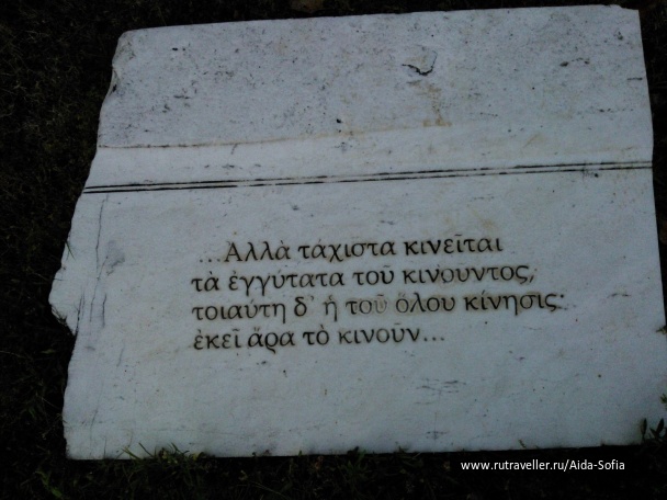photo 1174856