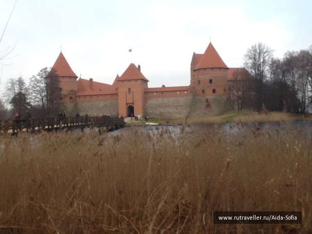 photo 1176047