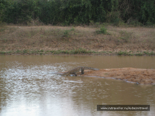 photo 393791