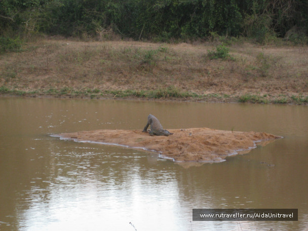 photo 393792