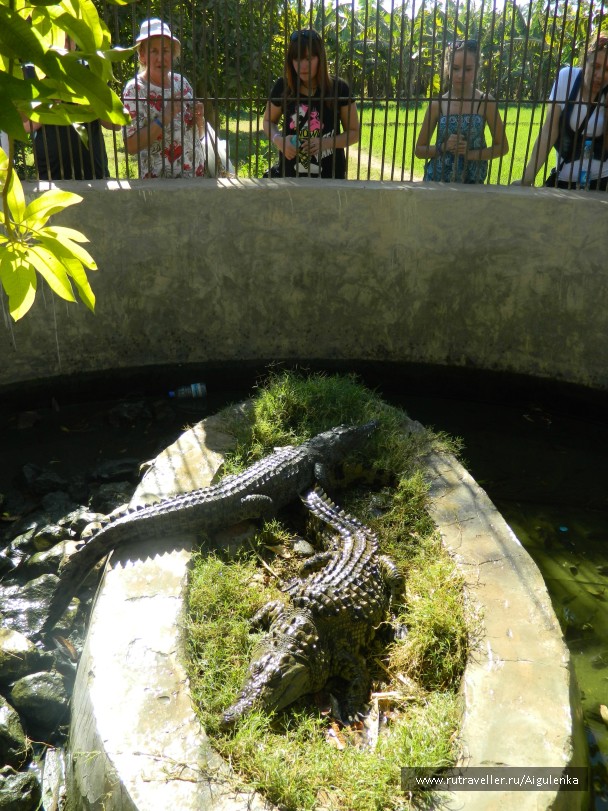 photo 764243
