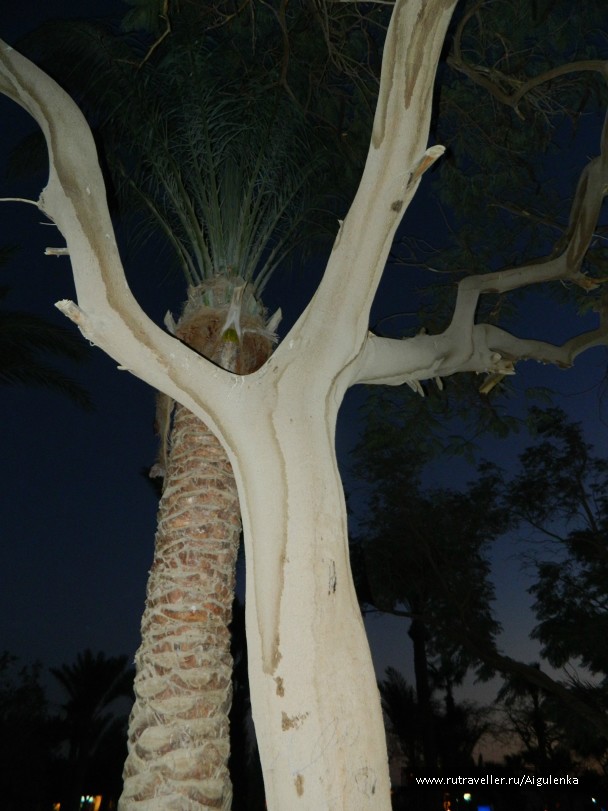photo 764250