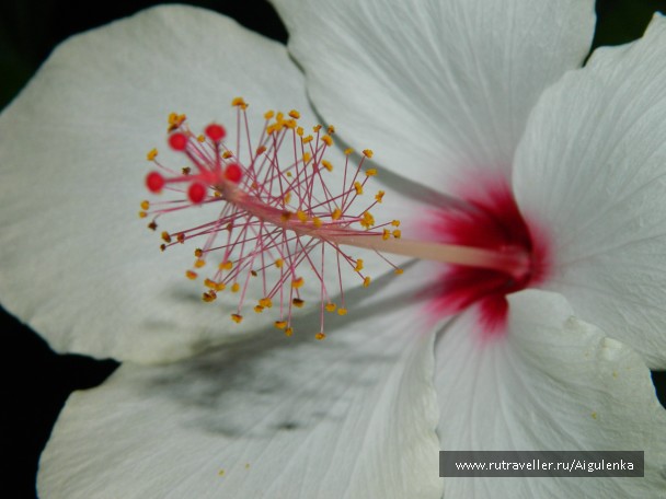 photo 764435