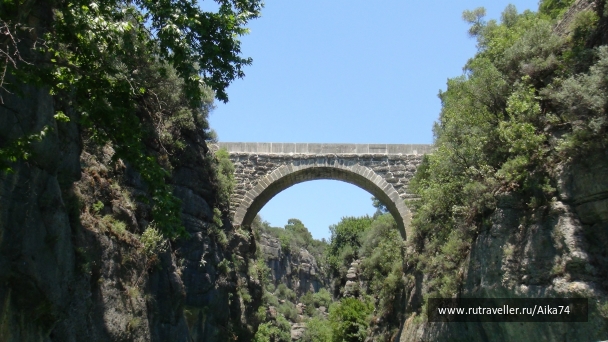photo 786474