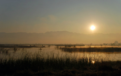 photo 265659