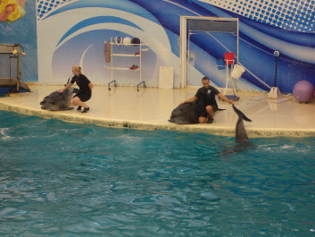 photo 566693