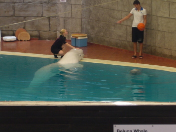 photo 566694