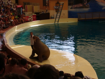 photo 566697