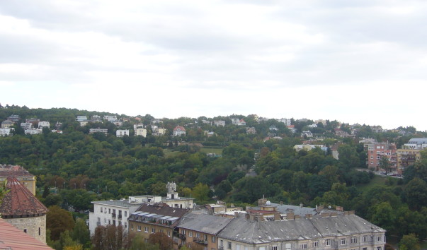 P1180631