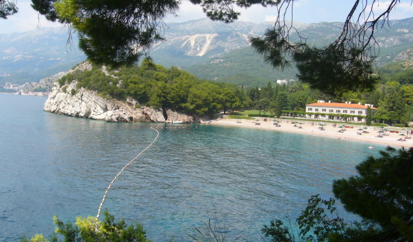P1190239