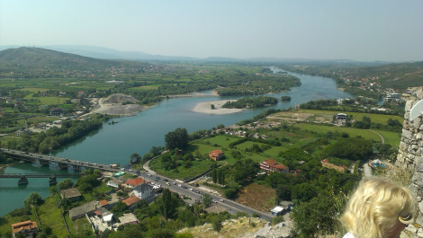 photo 1772943