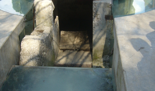 P1190392