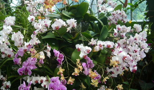 P1200409