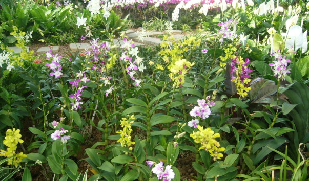 P1200454