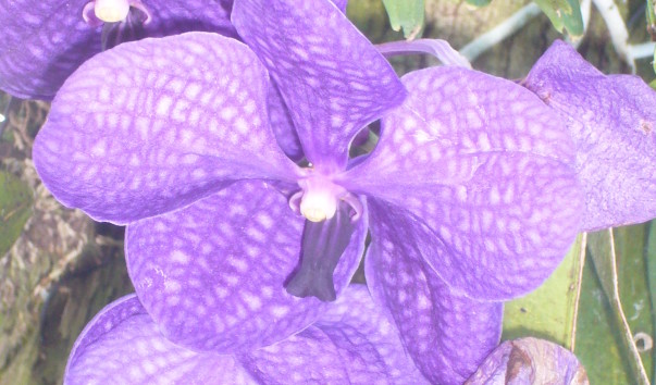 P1200428