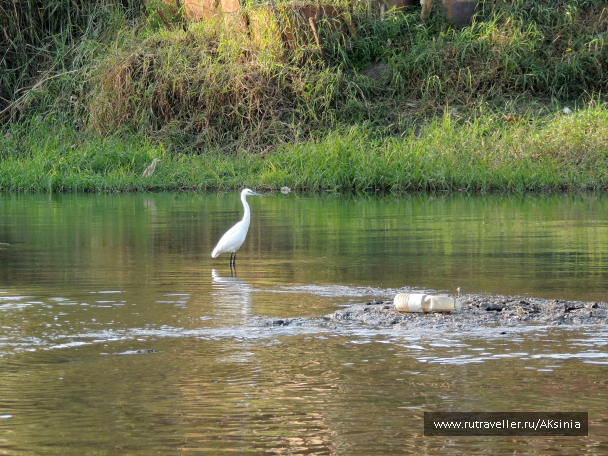 photo 640262