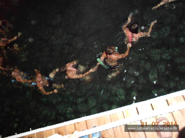 photo 826780