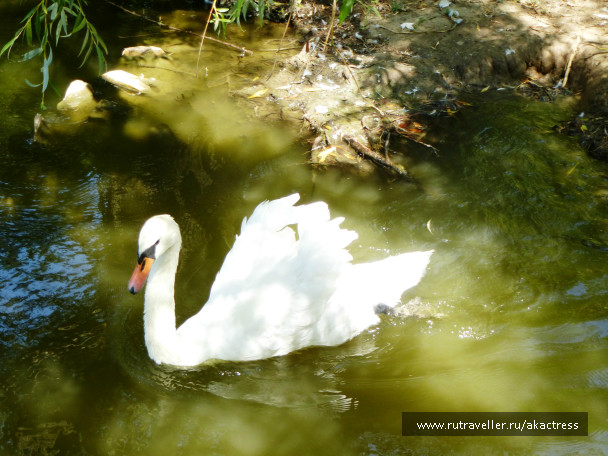 photo 691159