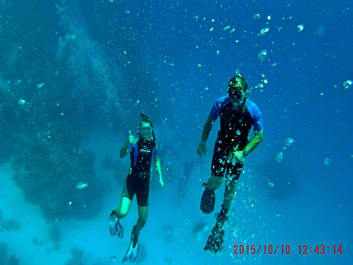 photo 1210450