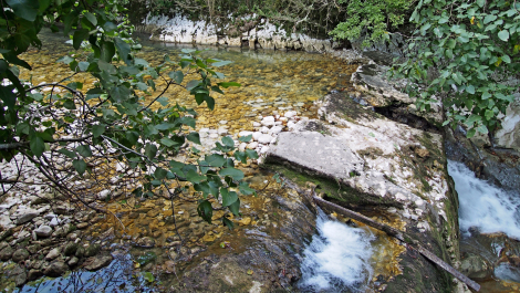 photo 1210502