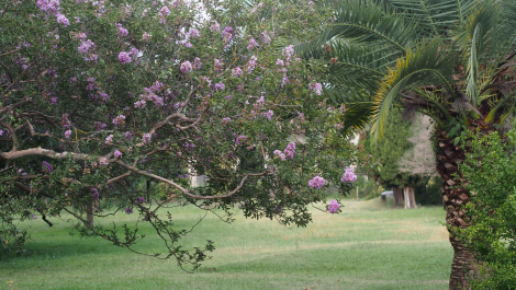 photo 1210505