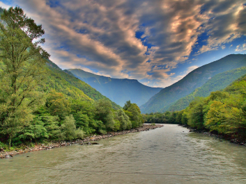 photo 1239642