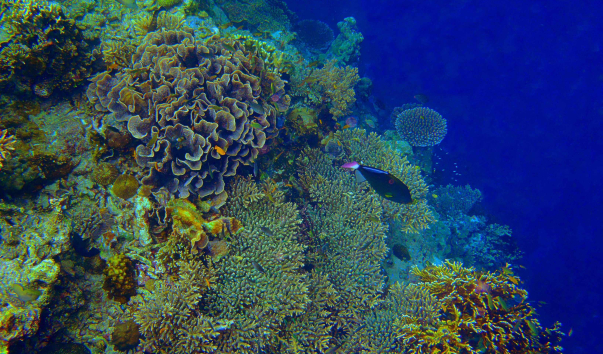P5052137