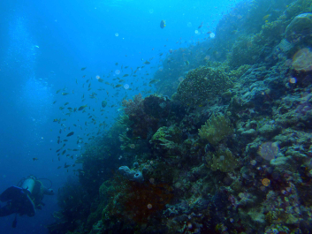 photo 1211443
