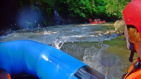 photo 1211529
