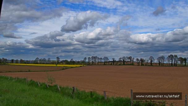 photo 1227407