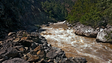 photo 1249212