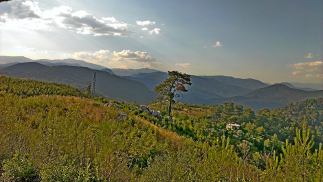 photo 1249217
