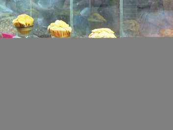 photo 745022