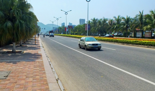 DSCF8819