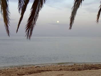 photo 771183