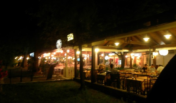 DSCN8197