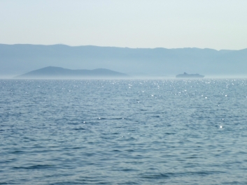 photo 784854