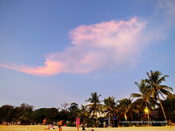 photo 983571