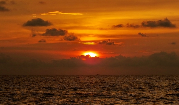 DSCF0711