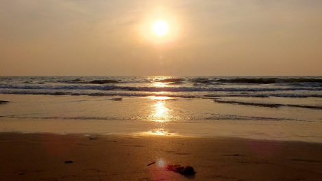 photo 1239424