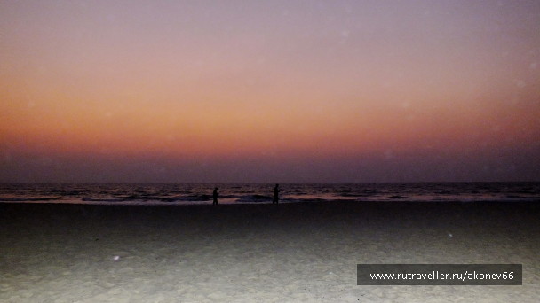 photo 1315457