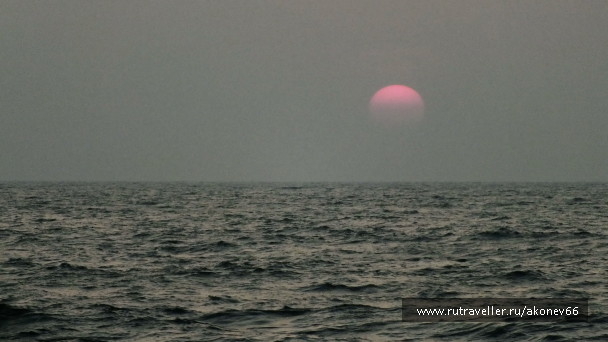 photo 1315458