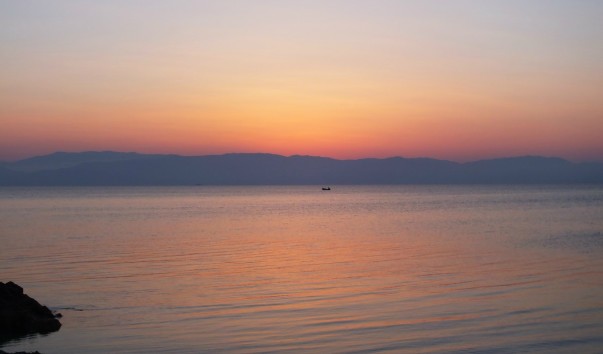 DSCF3781