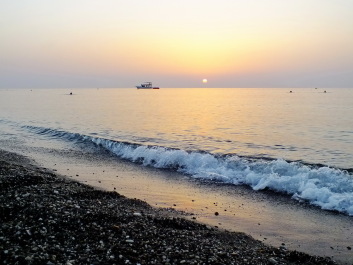photo 1145316