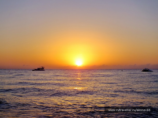 photo 1145321