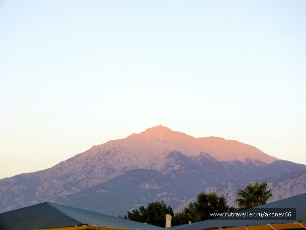 photo 1145323